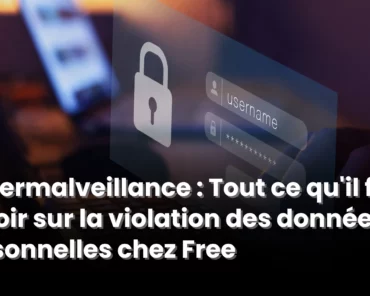 Cybermalveillance : Tout ce qu’il faut savoir sur ...